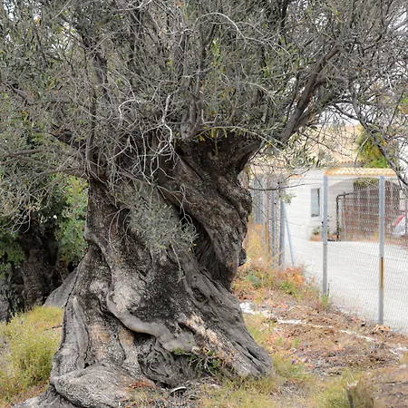 Apartmán Harmony - Infinity Poros Sea View