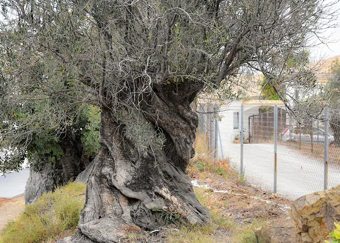 Harmony - Infinity Poros Sea View Apartmán