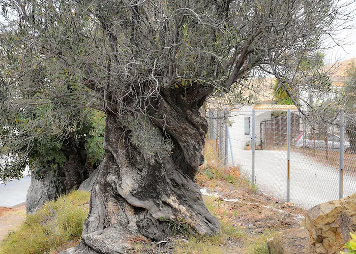 Appartement Harmony - Infinity Poros Sea View